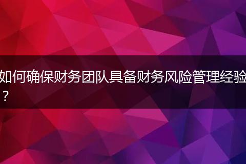 如何确保财务团队具备财务风险管理经验？