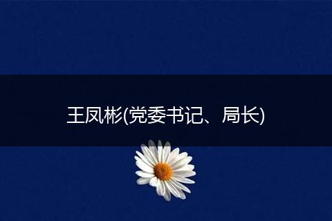 王凤彬(党委书记、局长)