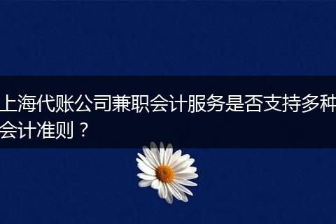 上海代账公司兼职会计服务是否支持多种会计准则？