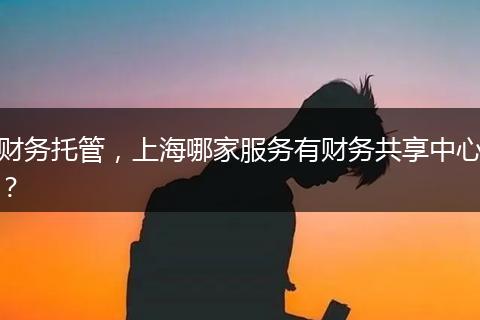 财务托管，上海哪家服务有财务共享中心？