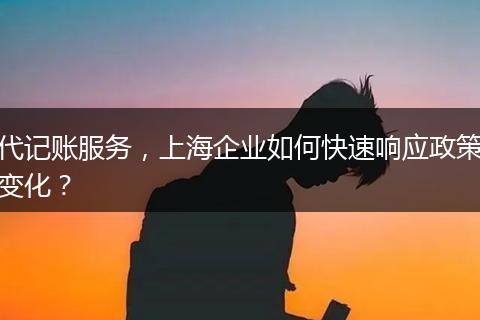 代记账服务，上海企业如何快速响应政策变化？