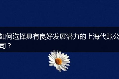 如何选择具有良好发展潜力的上海代账公司？