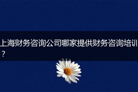 上海财务咨询公司哪家提供财务咨询培训？