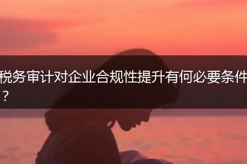 税务审计对企业合规性提升有何必要条件？