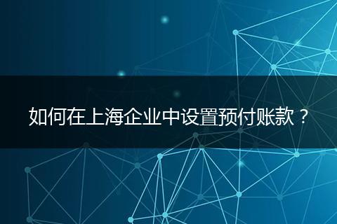 如何在上海企业中设置预付账款？