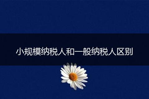 小规模纳税人和一般纳税人区别