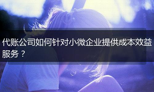 代账公司如何针对小微企业提供成本效益服务？