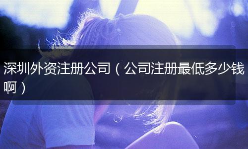 深圳外资注册公司(公司注册最低多少钱啊)