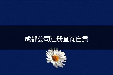 成都公司注册查询自贡