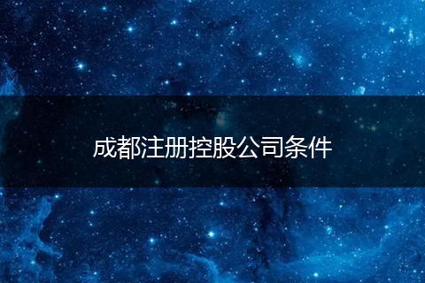 成都注册控股公司条件