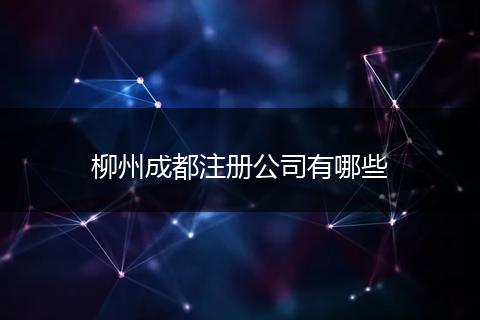 柳州成都注册公司有哪些