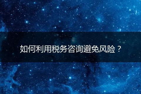如何利用税务咨询避免风险?