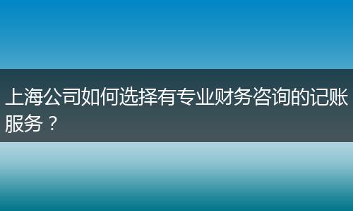 上海公司如何选择有专业财务咨询的记账服务？
