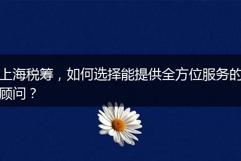 上海税筹，如何选择能提供全方位服务的顾问？