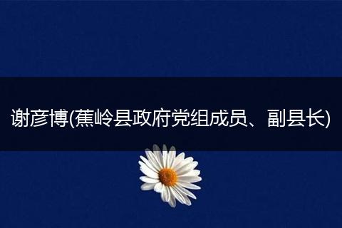 谢彦博(蕉岭县政府党组成员、副县长)