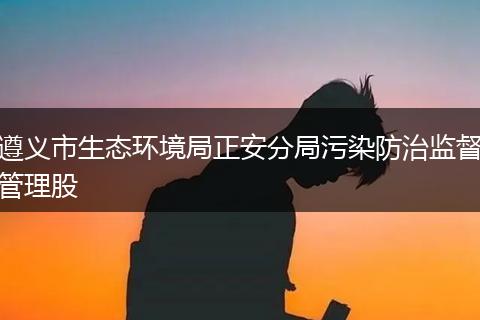 遵义市生态环境局正安分局污染防治监督管理股