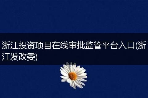 浙江投资项目在线审批监管平台入口(浙江发改委)