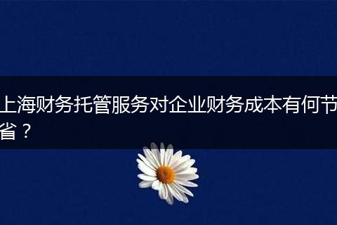 上海财务托管服务对企业财务成本有何节省？