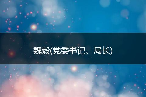 魏毅(党委书记、局长)