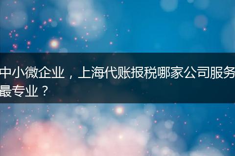 中小微企业,上海代账报税哪家公司服务最专业?