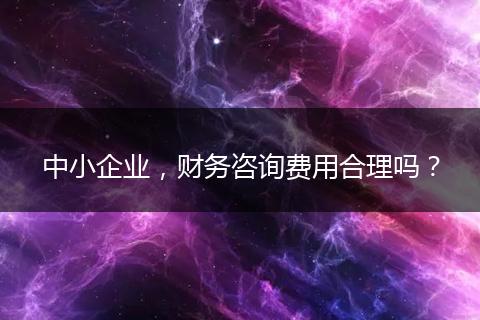 中小企业，财务咨询费用合理吗？