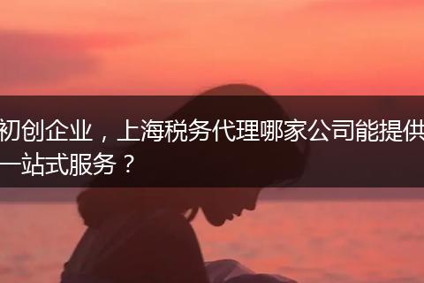 初创企业,上海税务代理哪家公司能提供一站式服务?