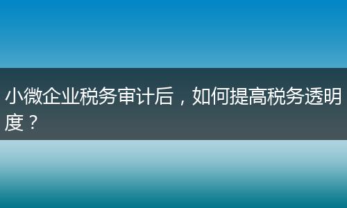 小微企业税务审计后,如何提高税务透明度?