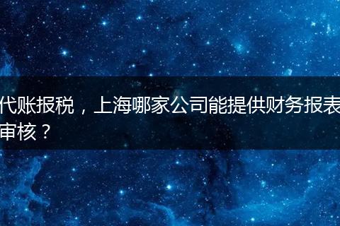代账报税，上海哪家公司能提供财务报表审核？