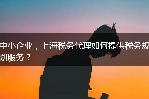 中小企业，上海税务代理如何提供税务规划服务？