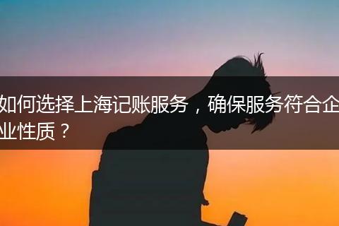 如何选择上海记账服务,确保服务符合企业性质?