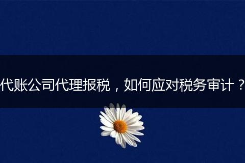 代账公司代理报税，如何应对税务审计？