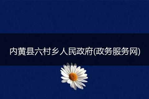 内黄县六村乡人民政府(政务服务网)