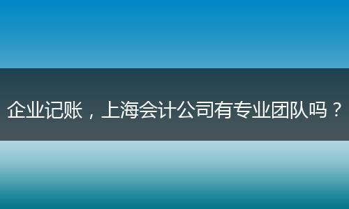 企业记账,上海会计公司有专业团队吗?