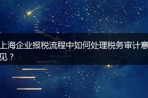上海企业报税流程中如何处理税务审计意见?