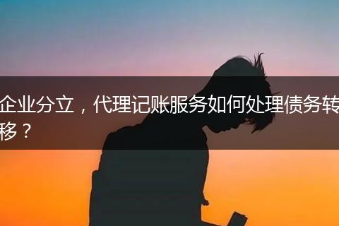 企业分立，代理记账服务如何处理债务转移？