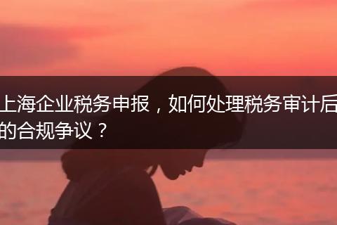 上海企业税务申报，如何处理税务审计后的合规争议？