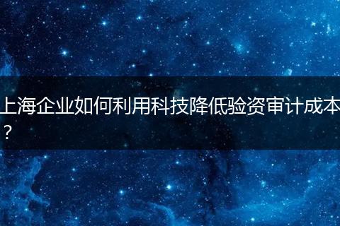 上海企业如何利用科技降低验资审计成本？