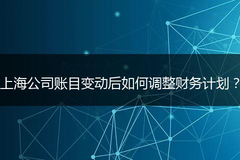 上海公司账目变动后如何调整财务计划？