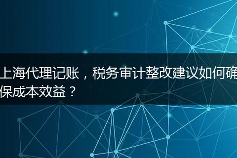 上海代理记账，税务审计整改建议如何确保成本效益？
