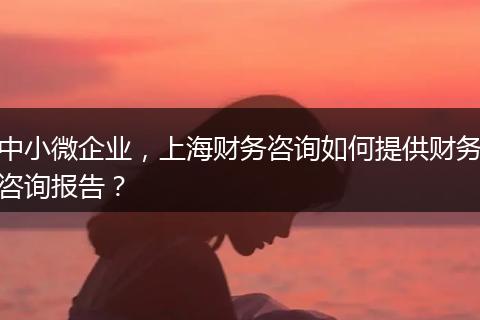 中小微企业，上海财务咨询如何提供财务咨询报告？