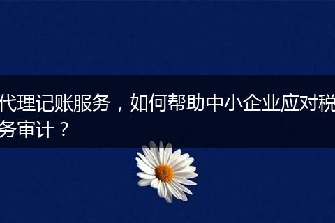 代理记账服务，如何帮助中小企业应对税务审计？