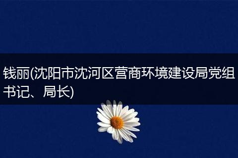 钱丽(沈阳市沈河区营商环境建设局党组书记、局长)