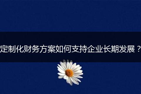 定制化财务方案如何支持企业长期发展？