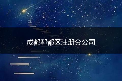 成都郫都区注册分公司