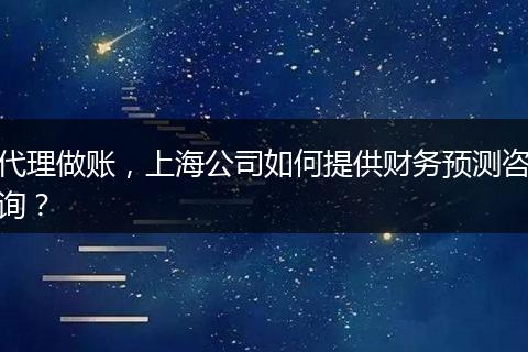 代理做账，上海公司如何提供财务预测咨询？