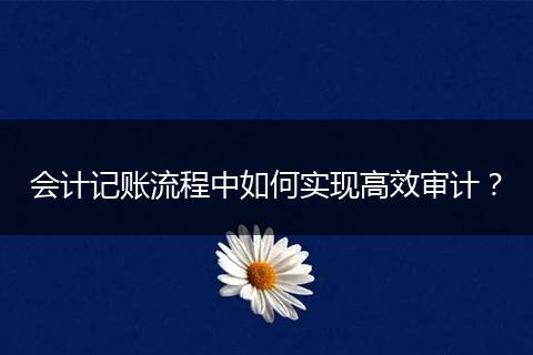会计记账流程中如何实现高效审计？