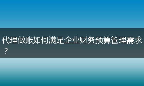 代理做账如何满足企业财务预算管理需求？