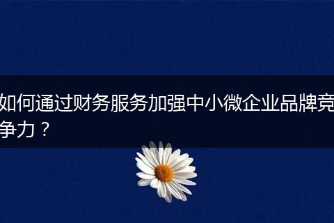 如何通过财务服务加强中小微企业品牌竞争力？