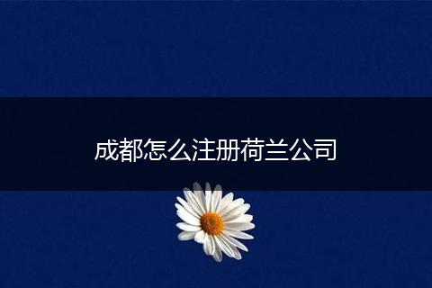 成都怎么注册荷兰公司