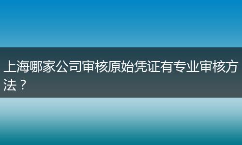 上海哪家公司审核原始凭证有专业审核方法？